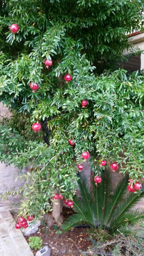 La Maison Jujube Morrovalle ภายนอก รูปภาพ